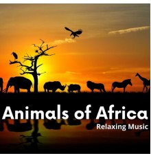 African Music Experience, African Instrumental Music, African Music, AP - Animals of Africa, Relaxing Music