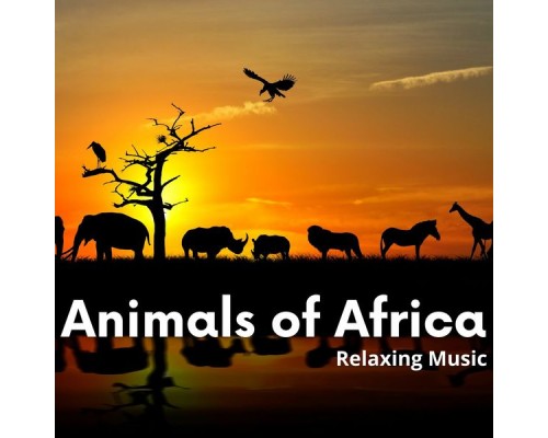 African Music Experience, African Instrumental Music, African Music, AP - Animals of Africa, Relaxing Music