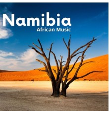 African Music Experience, African Music, African Instrumental Music, AP - Namibia African Music