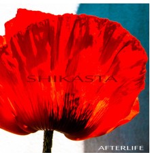 Afterlife - Shikasta