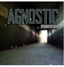 Agnostic - Introspection