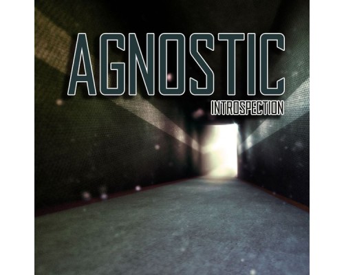 Agnostic - Introspection