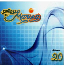 Agua Marina - Número 20, Vol. 20