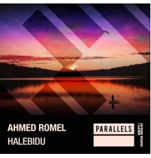 Ahmed Romel - Halebidu