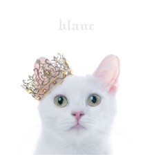 Aimer - BEST SELECTION "blanc"