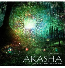 Akasha Experience - Into the Web (Akasha Experience)