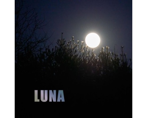 Al Soucy - LUNA