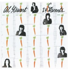 Al Stewart - 24 Carrots