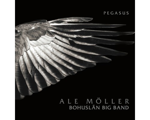 Ale Moller - Pegasus
