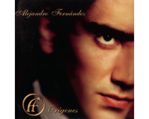 Alejandro Fernandez - Orígenes