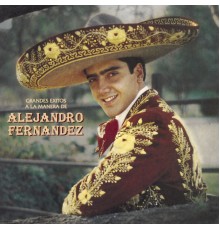 Alejandro Fernandez - Grandes Exitos A La Manera De Alejandro Fernandez