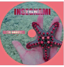 Ales J - Insegnami  (Latin Grooves)