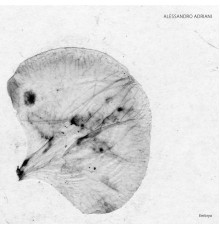 Alessandro Adriani - Embryo