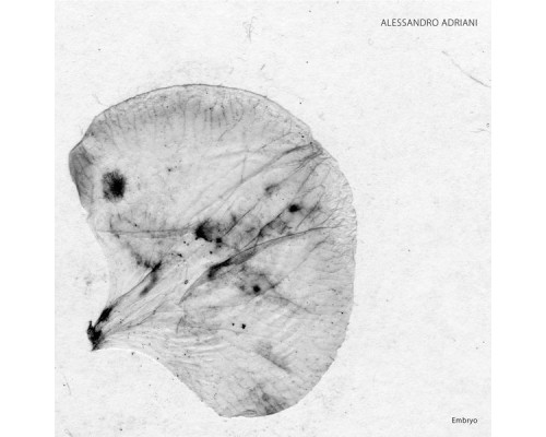 Alessandro Adriani - Embryo