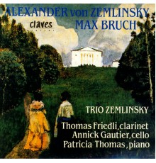 Alexander von Zemlinksy / Max Bruch: Chamber Music - Romantic Chamber Music