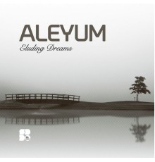 Aleyum - Eluding Dreams (Original Mix)