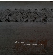 Alfredo Costa Monteiro - Not Knowing