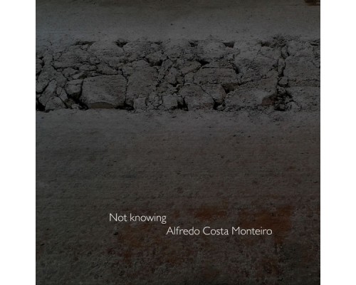 Alfredo Costa Monteiro - Not Knowing