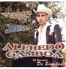 Alfredo Gamboa - La pura sospecha