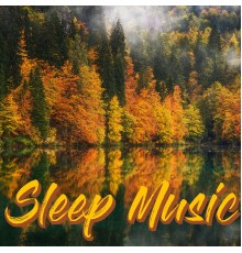 Alin Vasile - Sleep Music