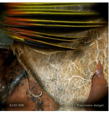 Alio Die - Transience Merger