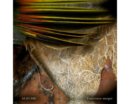 Alio Die - Transience Merger