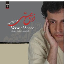 Alireza Shahmohammadi - Verve of Spnee