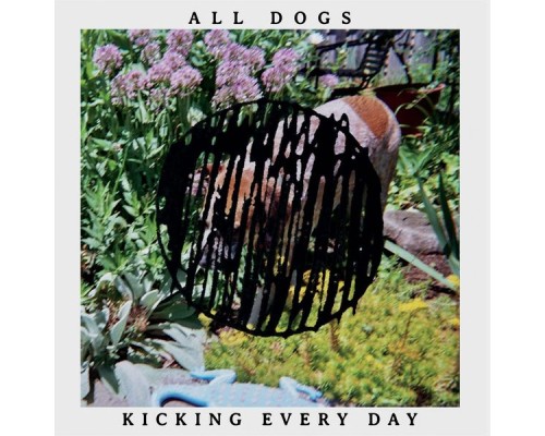 All Dogs - Kicking Every Day