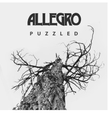 Allegro - Puzzled
