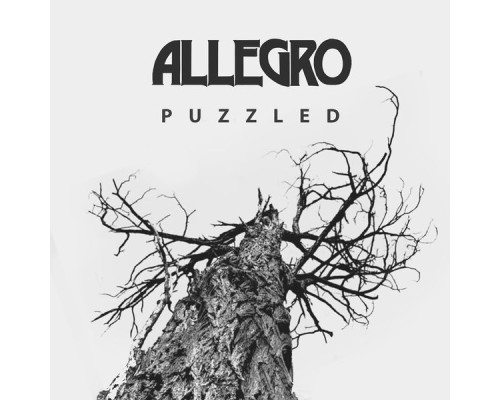 Allegro - Puzzled