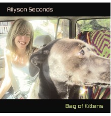 Allyson Seconds - Bag of Kittens