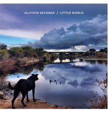 Allyson Seconds - Little World