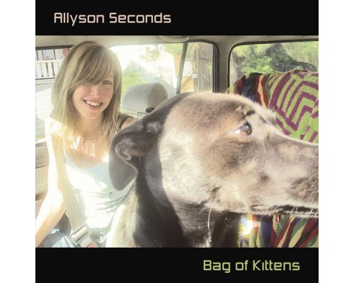 Allyson Seconds - Bag of Kittens