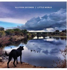 Allyson Seconds - Little World