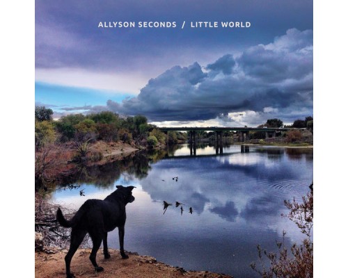 Allyson Seconds - Little World