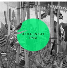 Aloa Input - Anysome RMX