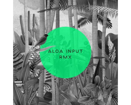 Aloa Input - Anysome RMX