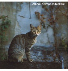 Alpha - The Impossible Thrill