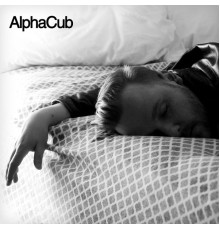 AlphaCub - AlphaCub