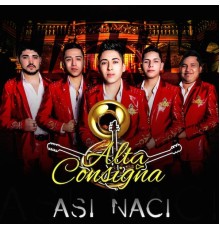 Alta Consigna - Así Naci