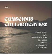 Alyson Joyce - Conscious Collaboration