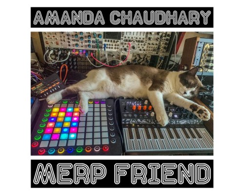 Amanda Chaudhary - Merp Friend