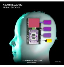 Amar Redzovic - Tribal Groove