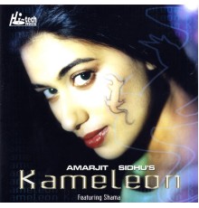 Amarjit Sidhu - Kameleon