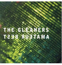 Amateur Best - The Gleaners