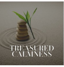 Ambient 11 - Treasured Calmness