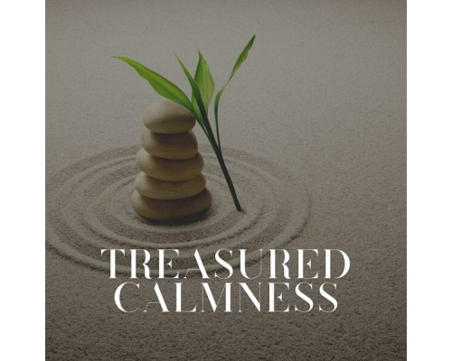 Ambient 11 - Treasured Calmness