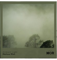 Ambient Light - Mellow Mist