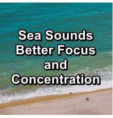 Ambient White Noise Ocean Waves, Ocean Sounds for Sleep, Calm Ocean Sound, Cam Dut - Sea Sounds Better Focus and Concentration