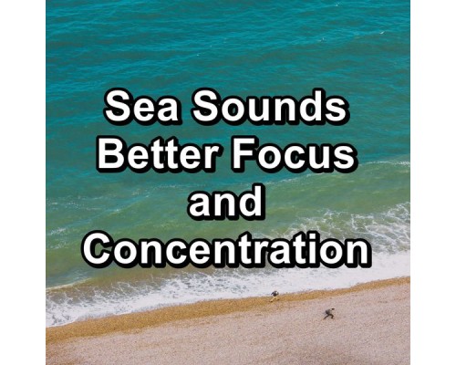 Ambient White Noise Ocean Waves, Ocean Sounds for Sleep, Calm Ocean Sound, Cam Dut - Sea Sounds Better Focus and Concentration